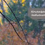 Novemberi kedvencek